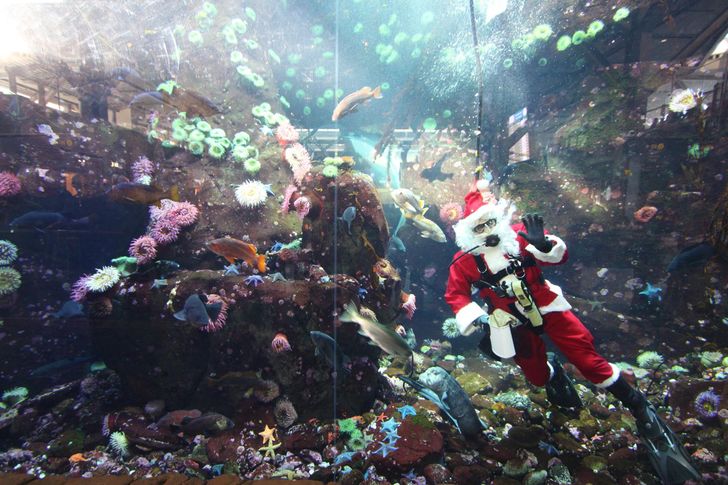 ce57b958f09de516fc13097de5