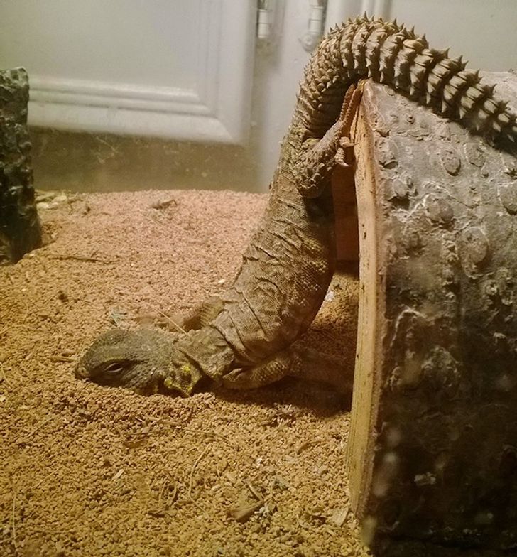 ce5821505982595503936b65ce