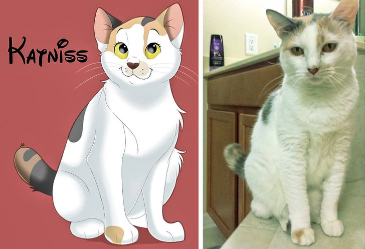 ce589c58d8b020c69f86cecd4d