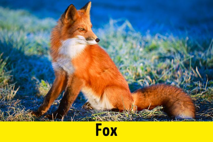 ce58bf5cacb26481f13ce340e9