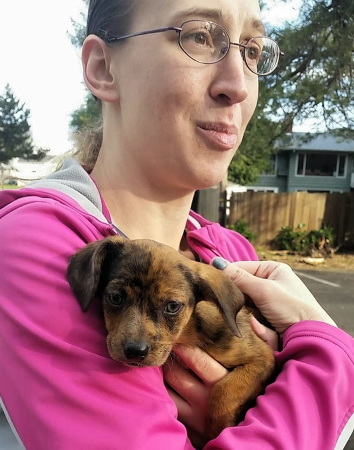 ce5aca5d57b1b36ac1c86dddb3