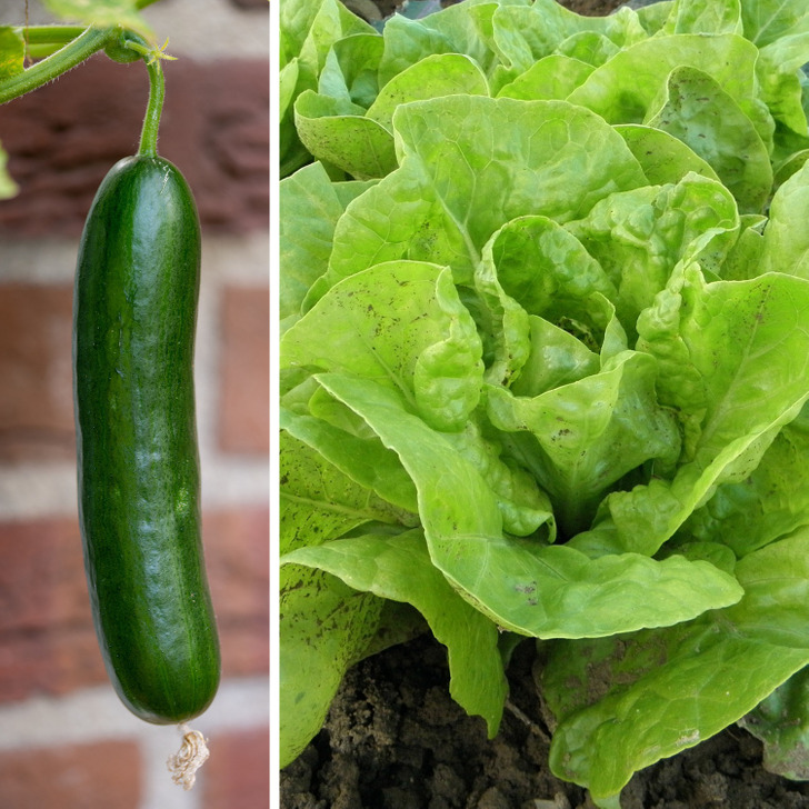 ce61a5555d822643629140da0b