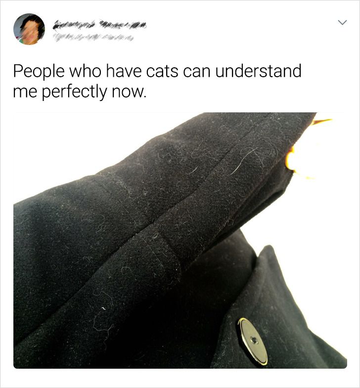 ce63b352a3bb5640c14059087d