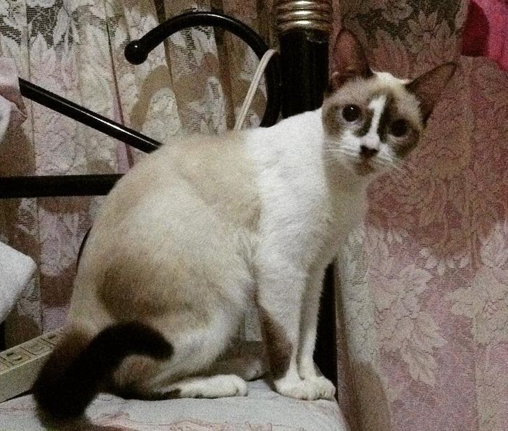 ce689557f6b4762e759f448100