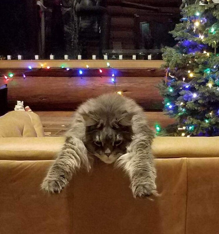 ce6a6855c89e3faf8cef2db507 ce6a6855c89e3faf8cef2db507