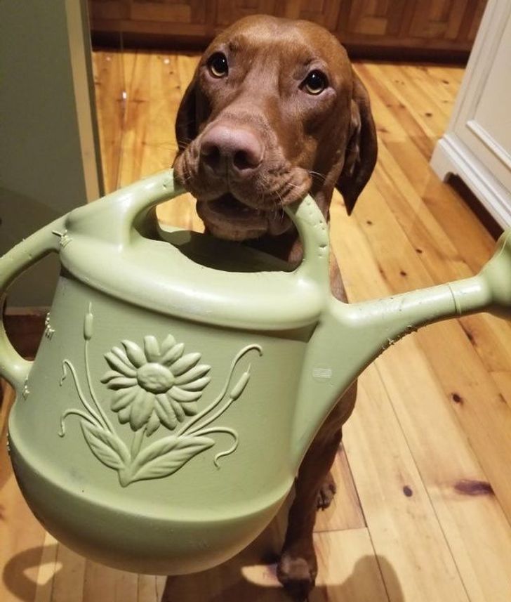 ce6fd257a88315e09d515af98d ce6fd257a88315e09d515af98d