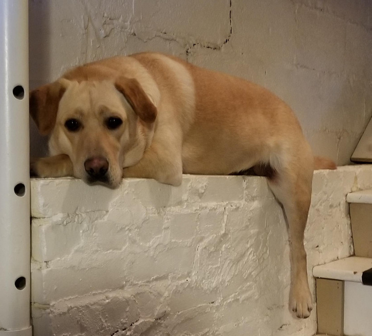 ce73385f98b95203ac6ec1e794