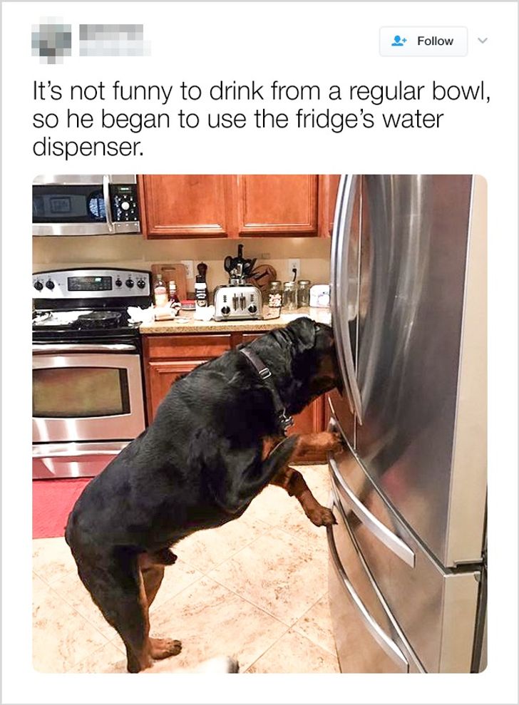 ce77535897b79172f512a24d89