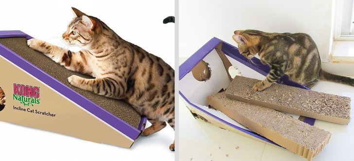 ce7aea5925b0bfd06ac8519782