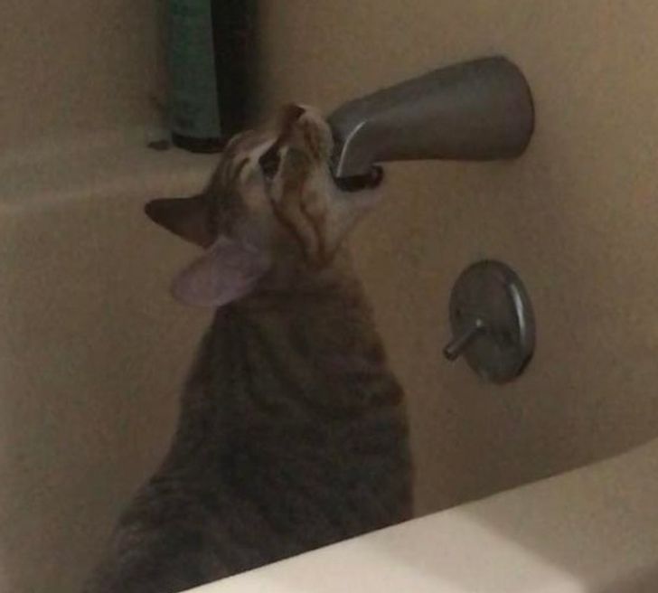 ce80045048b7b8009ab24be96a