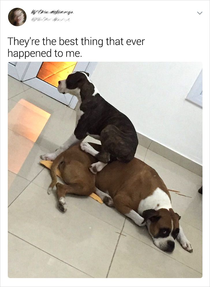 ce82a950f7aded8c0ff0745f71