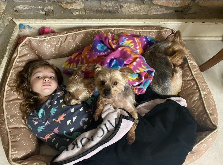 ce83045485bcdbd94c2cca6175 ce83045485bcdbd94c2cca6175