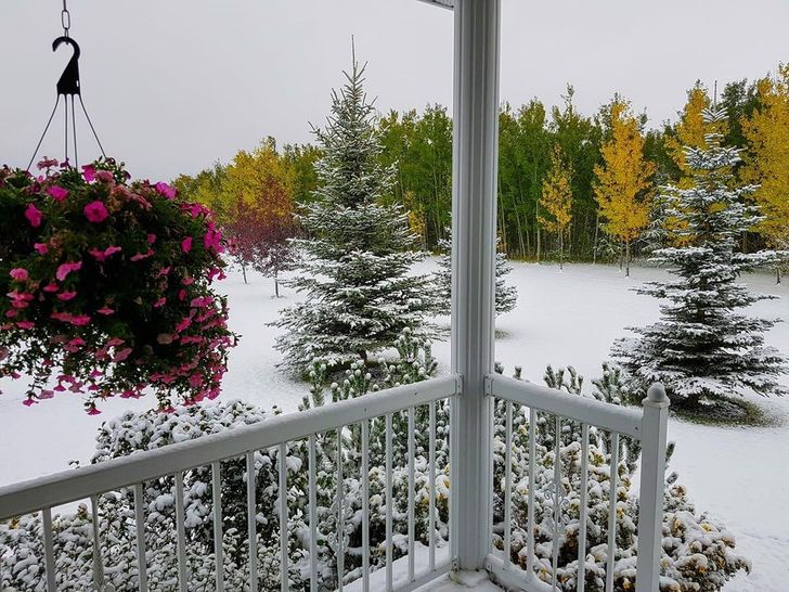 ce869259feb15c2482d7f3cdb2