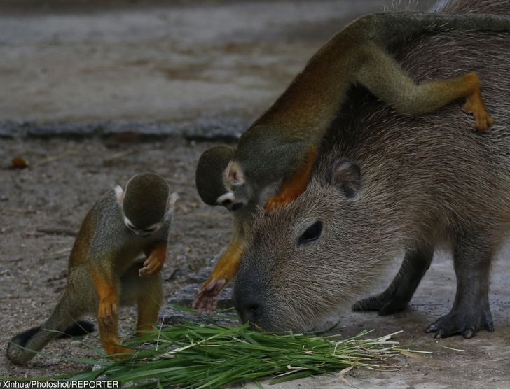 ce87025518a13a6dce63bcf3c7