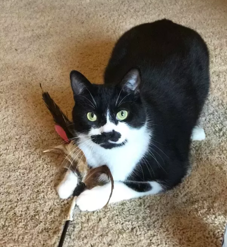 ce903f5598a8031d8ea652d39c