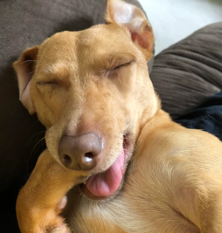 ce950751d78e40c1894d02c4b8