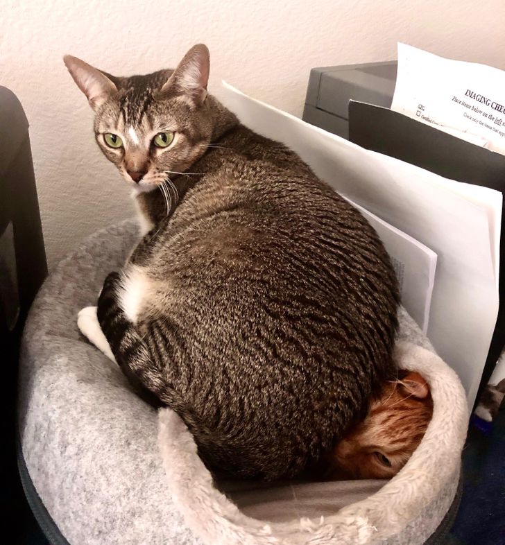 cea41c53a8afa5d2f572ad3e7b