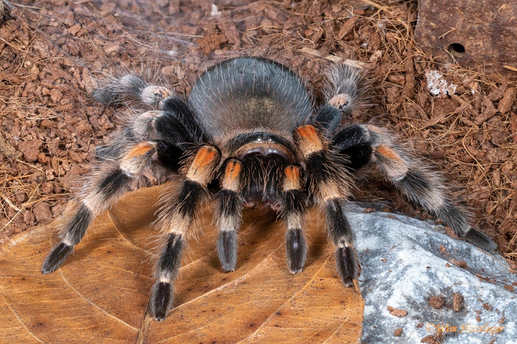 cea76f5b2ebde9f8af8b852f5a