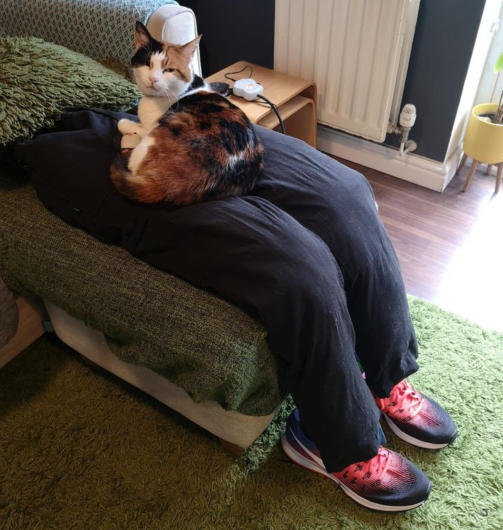 ceb0d0517280bb7931ff3982ee