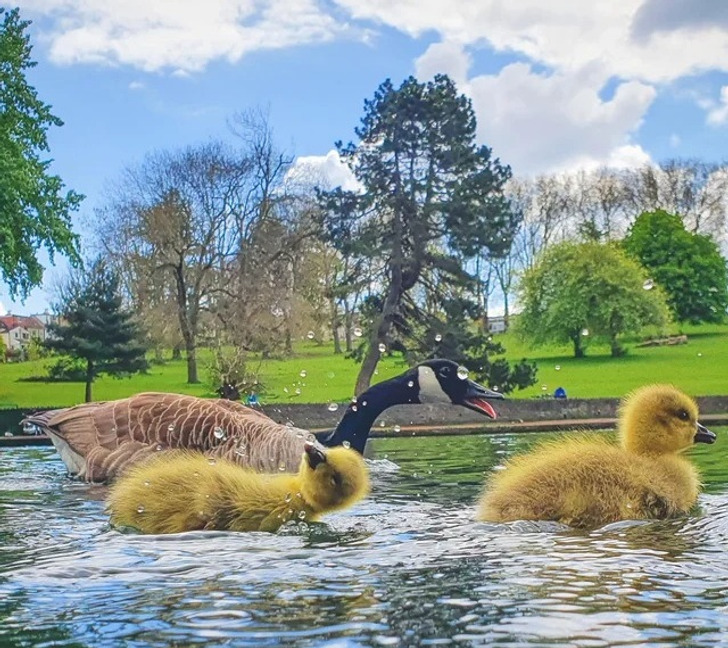 ceb14f5d6c9b8b2668f9583cec