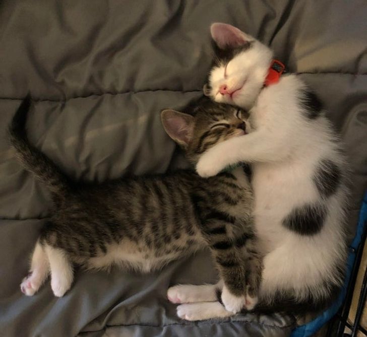 ceb583537b96c60f10ae86ff6c