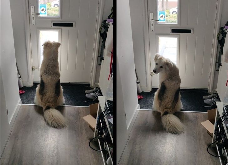 cebc9b5cab88c9fc25819ad9fd