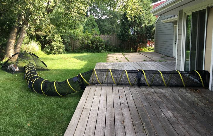 cec16c5b36b5a7d98b4bb836b1