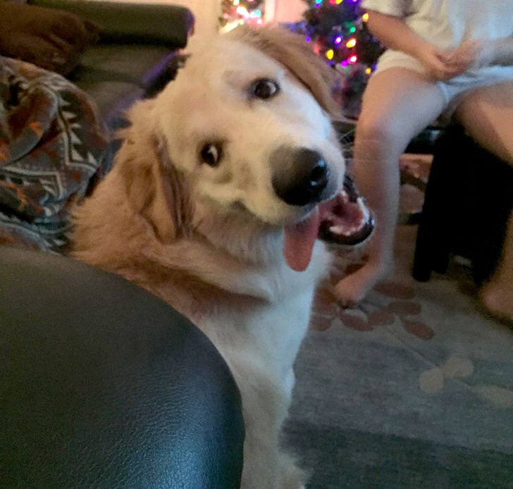 cec95d5412891d017cf01bcd8e