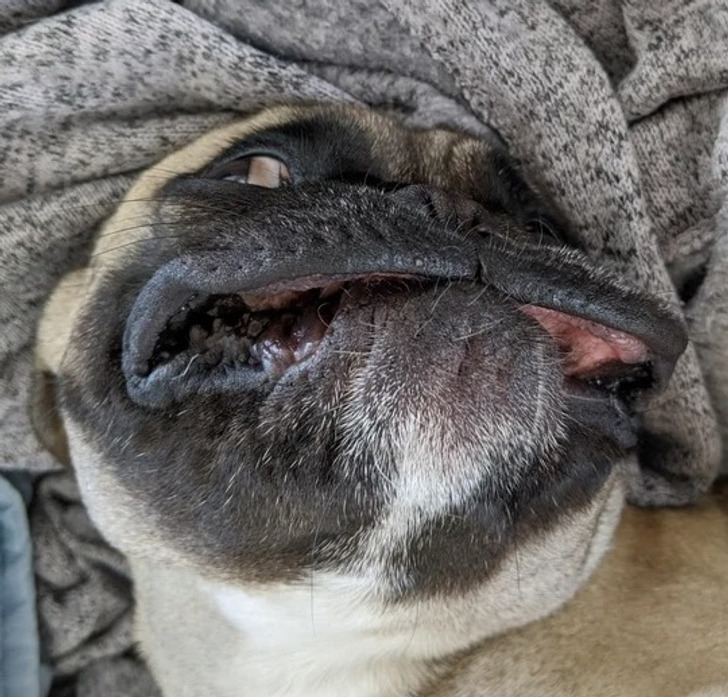 ced3c65d01a827429ea5e82d49