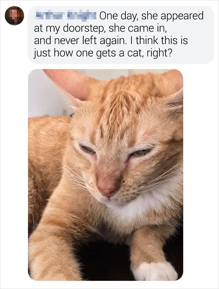 cedd11539fa392c783a2c66f22