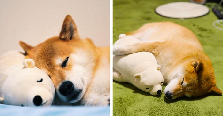 cee4d658139af915a59d2b0463