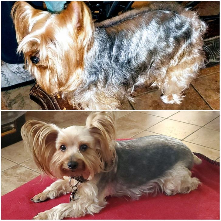 cee6f45cf28effd2a22d6cd1d0