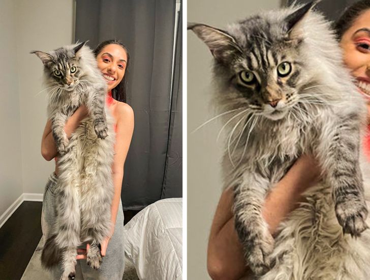 ceec6c528d8284eda4c7bf3422 ceec6c528d8284eda4c7bf3422