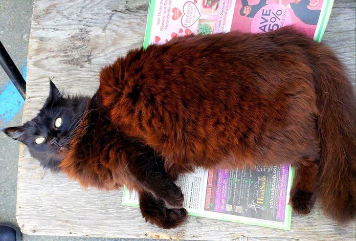 ceefc35f3f86bcbe2c53dbe6a4