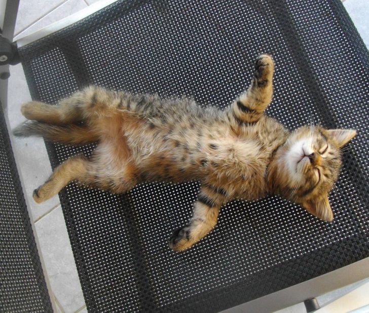 cef1f356d78e21ff20d58be3ef