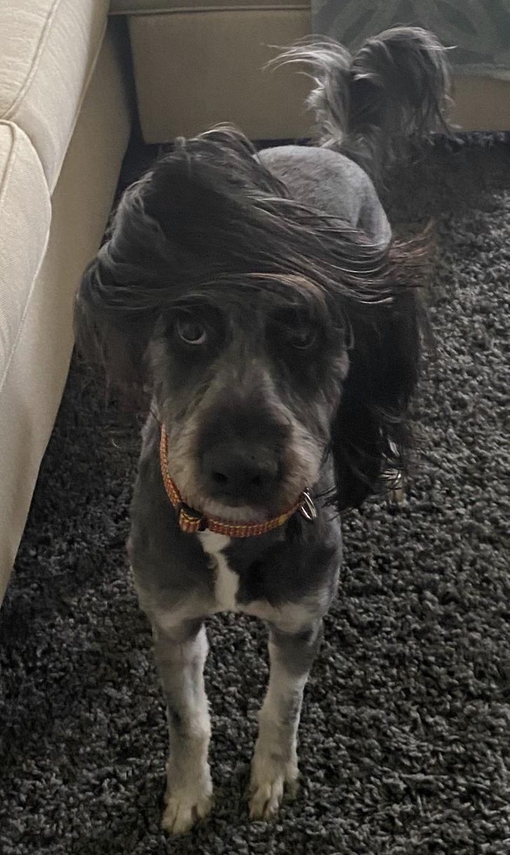 cef37e50c8bfe3f4a8093cdbcb cef37e50c8bfe3f4a8093cdbcb