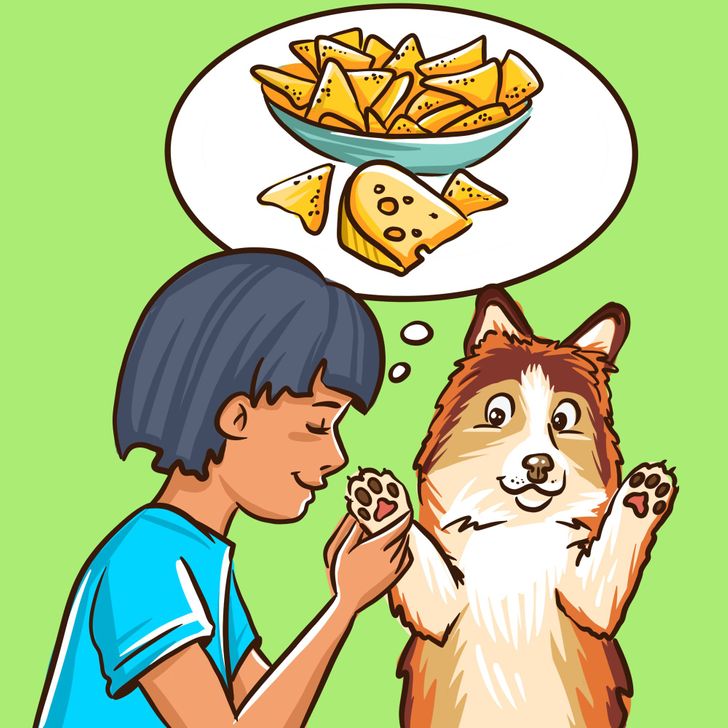 cefd5259d0b83f53dbb0734218