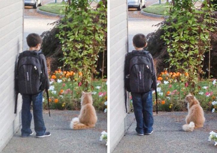 cefd945ad68fb8ebabbf6faa06