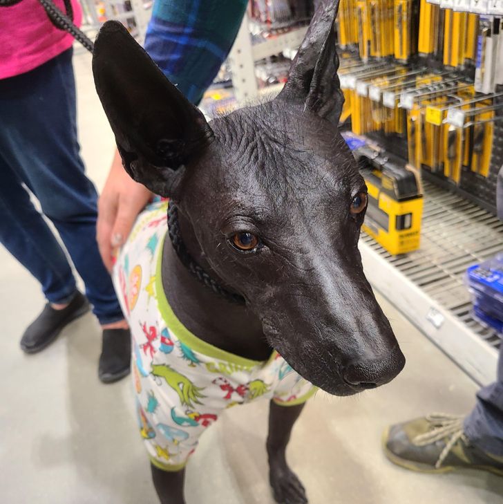 ceffe35ffe8284f34ecad74bec