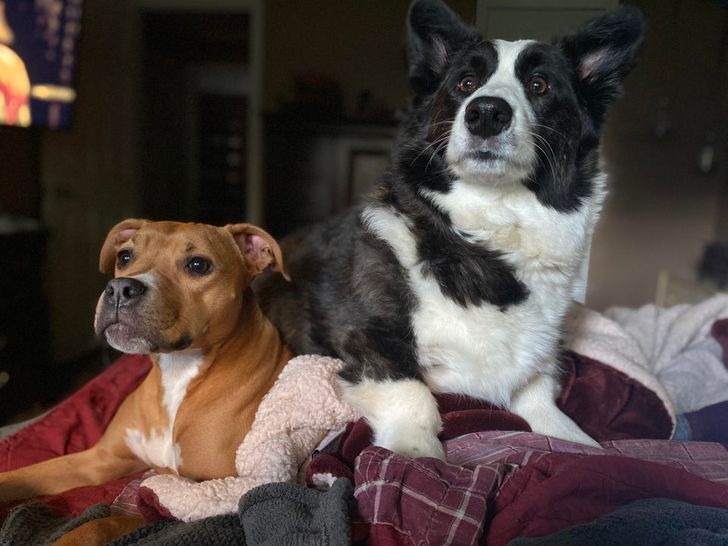 cf02305583b5f94dc2efc245c6