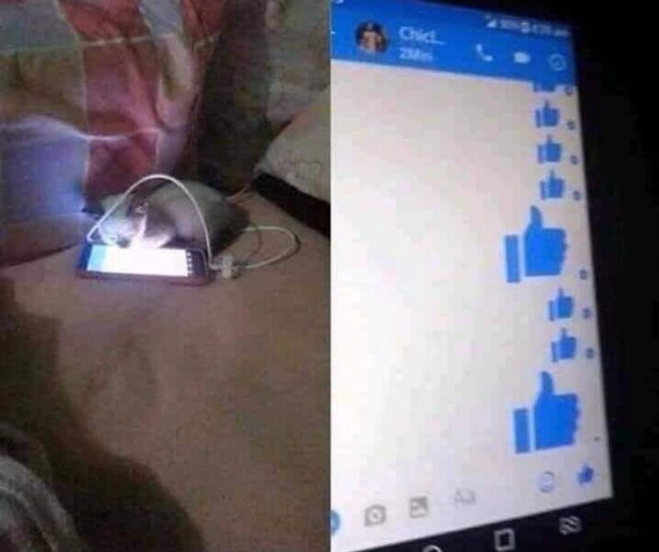 cf179751188a0601302749ac79