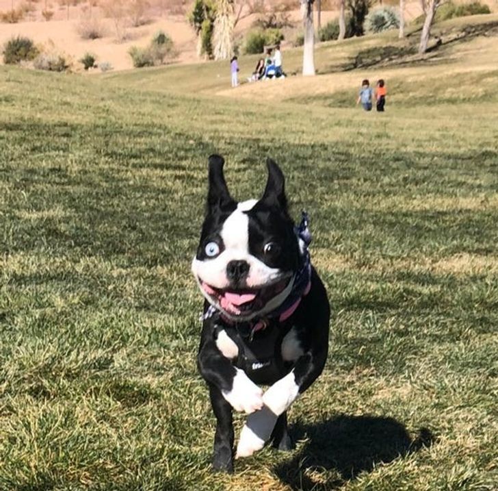 cf1de2534e9bea2ae6a0ae7a59