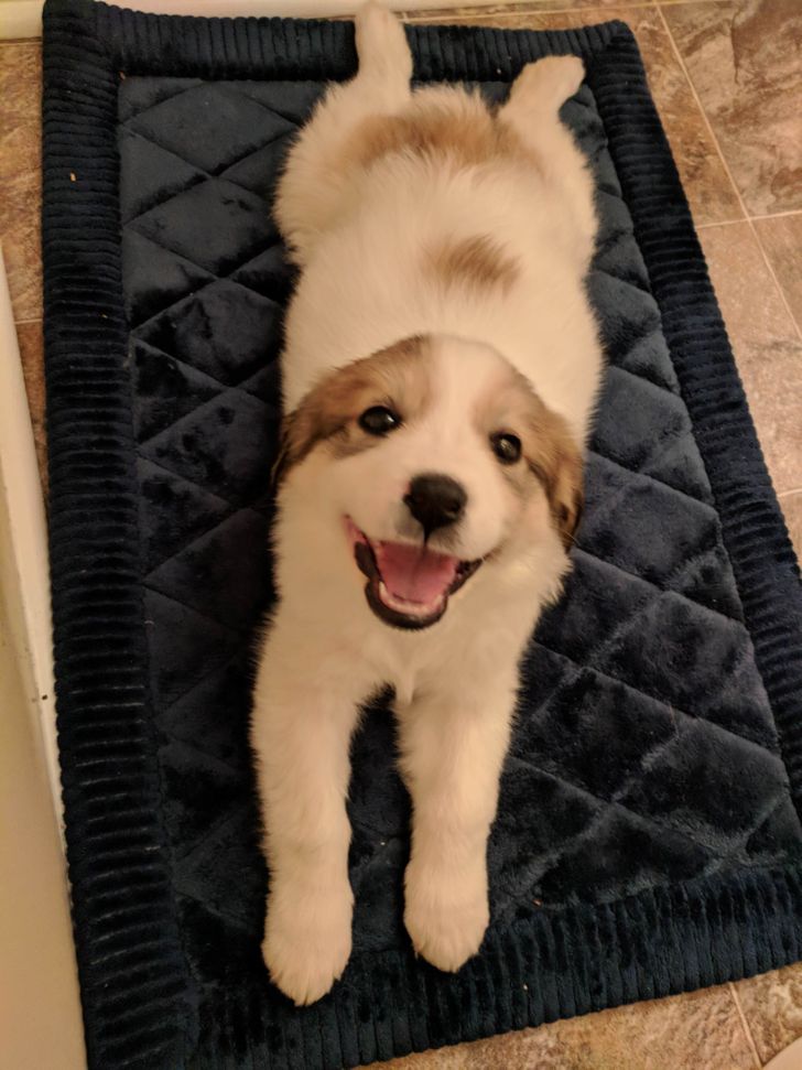 cf23ce551e97d46844ff27ad00