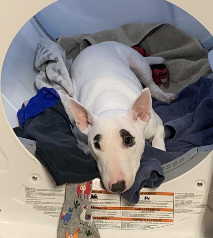 cf23d6577a834679cad3c081c0