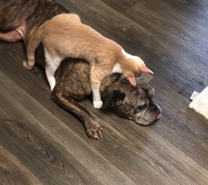 cf270158c48fb60013dcbc2403