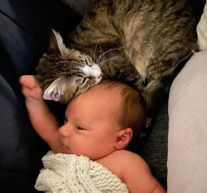 cf274b54388e56f538f8e954f9