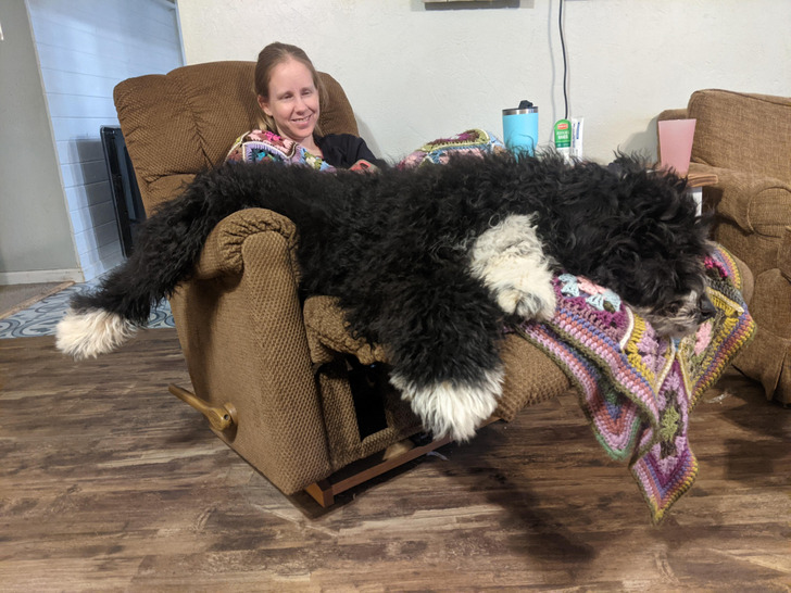 cf30035d7ba62e97df7c7ee51a cf30035d7ba62e97df7c7ee51a