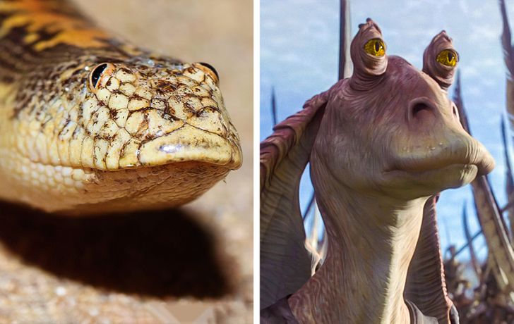 cf33cf5bb889c3e9a8ee643b6f