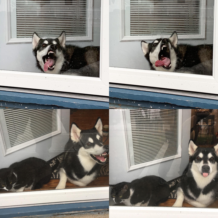 cf37af57169d06ca9443d10480