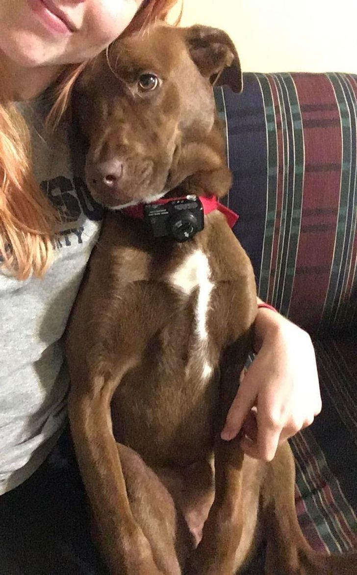 cf3cdf501cbf3ddaaa601bedc5